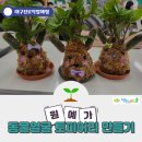 대구태전초등학교 | 학교로 찾아가는 진로체험/원예가 직업체험 프로그램/토피어리 체험/방문교육 후기/대구진로체험출강