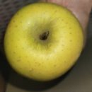 금당골농장 이미지