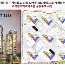 도안982