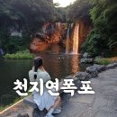 천지연휴게소 | 6월 제주도 천지연폭포 야간 무료입장 방법, 주차, 새연교 불꽃쇼 후기