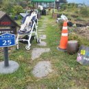 황룡stay 이미지