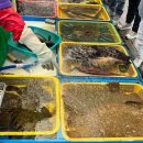 동이수산 이미지