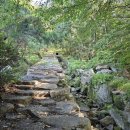 120.산림욕장_1 이미지