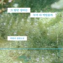 청소년 자녀의 마음 성장 이야기 이미지