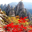 천왕봉공인중개사사무소 이미지