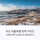 게스트하우스 하얀언덕 | 우도 겨울여행 코스와 당일치기 루트 공개