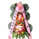 파란꽃배달조경 이미지