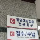창현약국 | 여행 ep.01] 탄자니아 신행을 위한 황열병 예방접종 후기! +준비할 것,총 비용 (한림대학교강남성심병원)