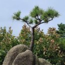 과천역 6번 출구 이미지