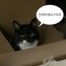 기왕이면 도토리묵밥집 이미지