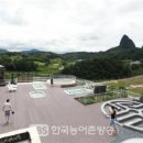 (주)한국고려홍삼