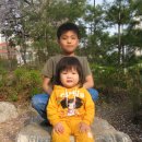 율전초교 이미지