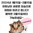 아토냥 이미지