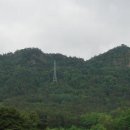 성애농장 이미지