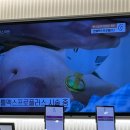 밴스피부과의원 이미지