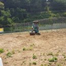 태안양계장 이미지