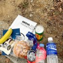 동아디자인 | 2026 서울 동아마라톤 10km 후기, 기념품, 아디다스 라운지 부스