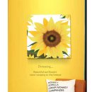 플라잉 브러쉬 이미지