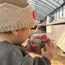 응골농장 이미지