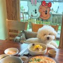 대가식당 | 가평 설악면 강아지 동반 식당 한식대가 식당 방문후기 - 가평냉면 부손 설악본점