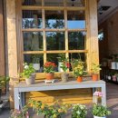 행잉플랜트 공기정화식물체험 이미지