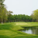 숲속골프 이미지