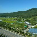 동화타이어 이미지