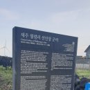 제주라라하우스 이미지