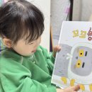 붱 | [꼬꼬붱] 닭장 속 이상하고 특별한 막내 꼬꼬붱 이야기, 아기 그림책이 주는 교훈