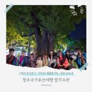 청주약국 | 청주국가유산야행 무료체험 행사안내
