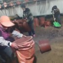 이정길농장 이미지