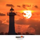 사궁두미 이미지