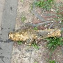 당동주공1차 이미지