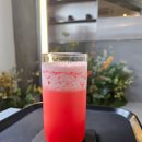 하이라떼