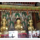 상주 남장사 목조아미타여래삼존좌상 이미지