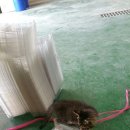 도도농장 이미지