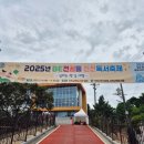 속담에 담긴 심리학 이야기 | 청소년 도서관 교육 프로그램 후기｜심리학 북토크 &amp; 인문 독서특강(진천교육도서관)