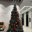 제주공항 현대서비스 | 제주 휘슬락 호텔 온돌방 4인 가성비 제주공항근처 후기