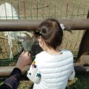 비호농장 이미지