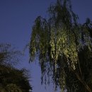 청계천로 이미지