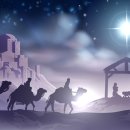 멘토영어학원 이미지