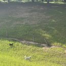 제일목장 이미지