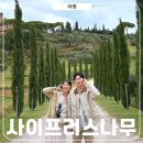 아카데미가 사랑한 영화들 | 막시무스집 사이프러스나무 이탈리아 토스카나투어 인생샷 꿀Tip