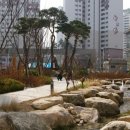 대신조경