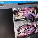 김 S 동물병원 이미지