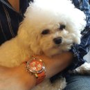 미스터토리 이미지