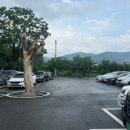 샤브마니아천안유량점 이미지