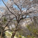 월명1길 이미지