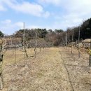 삼강공인중개사사무소 이미지