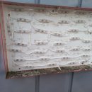 코자자 모텔 이미지